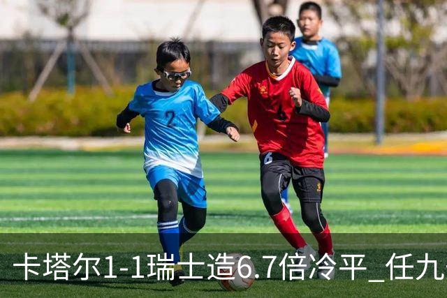 卡塔尔1-1瑞士造6.7倍冷平 任九开53注25.3万元
